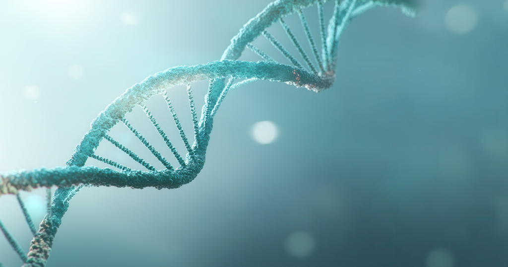 P53 protein – ključan za zaštitu DNK i prevenciju raka