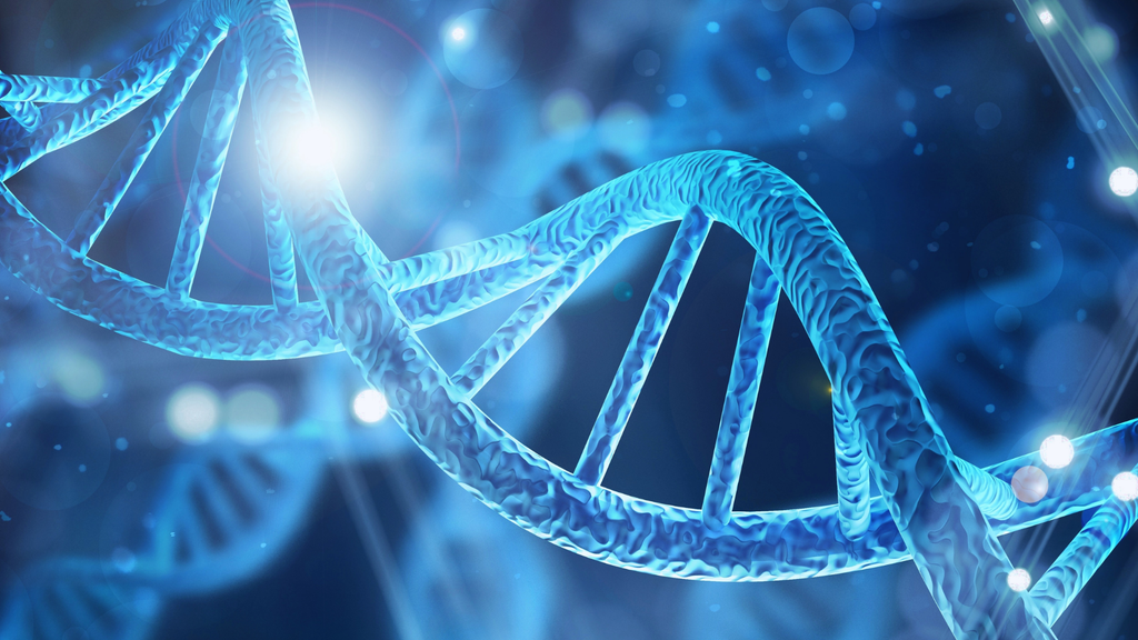 P53 protein – ključan za zaštitu DNK i prevenciju raka